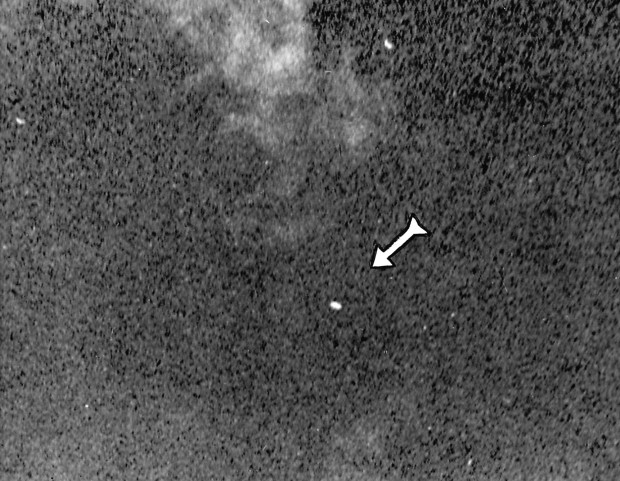 Look Back: UFO sightings, 1947